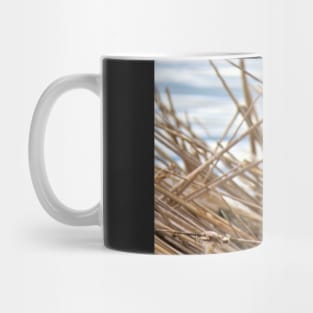 Canada Goose No.5 Mug